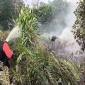 Petugas BPBD Kalbar berjibaku memadamkan karhutla di Kecamatan Sungai Raya, Kabupaten Kubu Raya beberapa waktu lalu. (Foto: Antara/HO-Jessica Helena W)