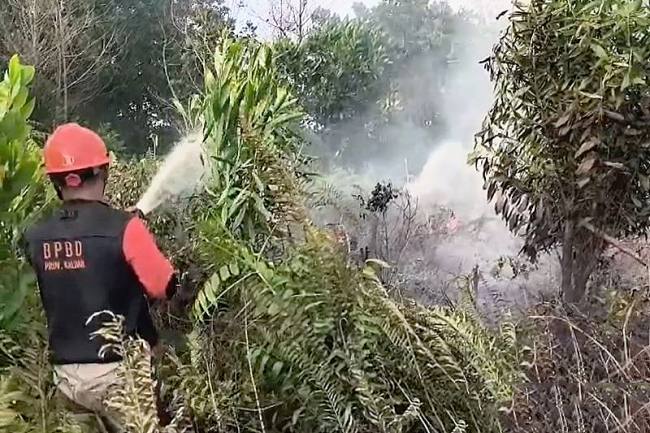 Petugas BPBD Kalbar berjibaku memadamkan karhutla di Kecamatan Sungai Raya, Kabupaten Kubu Raya beberapa waktu lalu. (Foto: Antara/HO-Jessica Helena W)