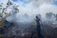 Foto Ilustrasi Karhutla di Desa Tumbang Nusa, Pulang Pisau. (Foto: Istimewa)