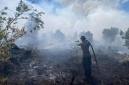 Foto ilustrasi karhutla Pulang Pisau, Kalteng. (Foto: Istimewa)