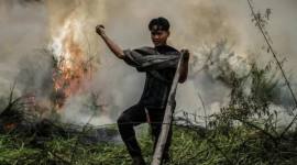 Petugas pemadam kebakaran Dinas Kehutanan Kalteng menggulung slang saat pemadaman kebakaran lahan gambut di Kelurahan Bukit Tunggal, Palangka Raya, Kalimantan Tengah, Minggu (12/07/2026). (Foto: HO-Antara)