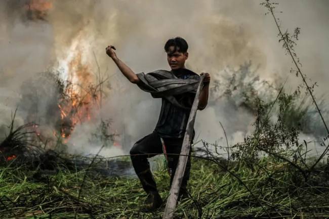 Petugas pemadam kebakaran Dinas Kehutanan Kalteng menggulung slang saat pemadaman kebakaran lahan gambut di Kelurahan Bukit Tunggal, Palangka Raya, Kalimantan Tengah, Minggu (12/07/2026). (Foto: HO-Antara)