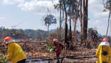Tim Brigade Karhutla UPTD KPHP Bongan bersama Regu MPA Kampung Deraya melaksanakan ground check dan pemadaman Karhutla di Kampung Lemper, Kecamatan Bongan, Kabupaten Kutai Barat, Selasa (11/8/2026). (Foto: HO-Dishut Kaltim)