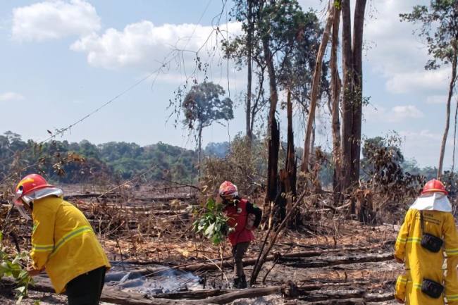 Tim Brigade Karhutla UPTD KPHP Bongan bersama Regu MPA Kampung Deraya melaksanakan ground check dan pemadaman Karhutla di Kampung Lemper, Kecamatan Bongan, Kabupaten Kutai Barat, Selasa (11/8/2026). (Foto: HO-Dishut Kaltim)