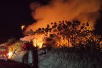 Karhutla Kutai Barat. (Foto: Istimewa)