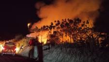 Karhutla Kutai Barat. (Foto: Istimewa)