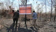 Petugas Kemenhut memasang papan pengawasan salah satu perusahaan yang dibekukan izinnya karena karhutla di areal kerjanya di Kalimantan Barat. (Foto: HO-Kemenhut)