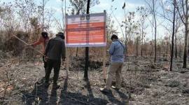 Petugas Kemenhut memasang papan pengawasan salah satu perusahaan yang dibekukan izinnya karena karhutla di areal kerjanya di Kalimantan Barat. (Foto: HO-Kemenhut)