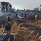 Tim gabungan berjibaku memadamkan api kebakaran lahan, Selasa (11/8/2026). (Foto: HO-BPBD Kobar)
