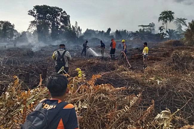 Tim gabungan berjibaku memadamkan api kebakaran lahan, Selasa (11/8/2026). (Foto: HO-BPBD Kobar)
