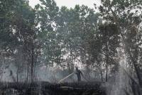 Petugas melakukan pemadaman kebakaran lahan di Kota Palangka Raya. (Foto: Antara/Auliya Rahman)