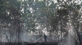 Petugas melakukan pemadaman kebakaran lahan di Kota Palangka Raya. (Foto: Antara/Auliya Rahman)