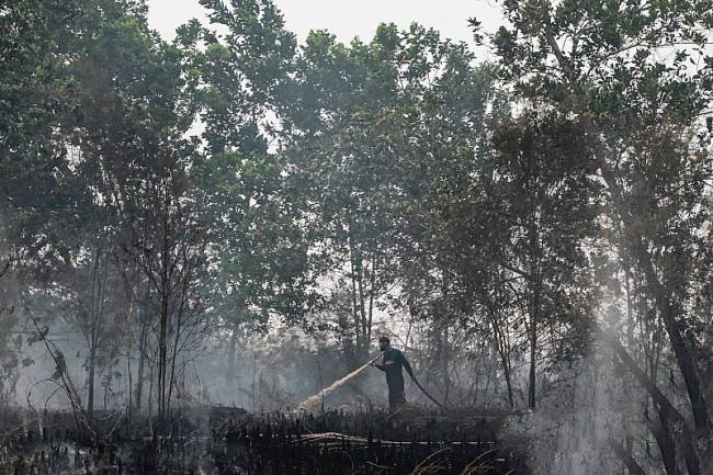 Petugas melakukan pemadaman kebakaran lahan di Kota Palangka Raya. (Foto: Antara/Auliya Rahman)