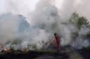Petugas dari Manggala Agni Daops Sumatera XIV-Banyuasin berusaha memadamkan kebakaran lahan di Desa Pulau Semambu, Kecamatan Indralaya Utara, Kabupaten Ogan Ilir (OI), Sumatera Selatan, Minggu (16/8/2026). (Foto: Antara/Nova Wahyudi)