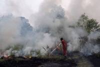 Petugas dari Manggala Agni Daops Sumatera XIV-Banyuasin berusaha memadamkan kebakaran lahan di Desa Pulau Semambu, Kecamatan Indralaya Utara, Kabupaten Ogan Ilir (OI), Sumatera Selatan, Minggu (16/8/2026). (Foto: Antara/Nova Wahyudi)