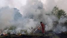 Petugas dari Manggala Agni Daops Sumatera XIV-Banyuasin berusaha memadamkan kebakaran lahan di Desa Pulau Semambu, Kecamatan Indralaya Utara, Kabupaten Ogan Ilir (OI), Sumatera Selatan, Minggu (16/8/2026). (Foto: Antara/Nova Wahyudi)