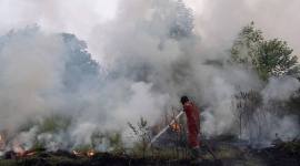 Petugas dari Manggala Agni Daops Sumatera XIV-Banyuasin berusaha memadamkan kebakaran lahan di Desa Pulau Semambu, Kecamatan Indralaya Utara, Kabupaten Ogan Ilir (OI), Sumatera Selatan, Minggu (16/8/2026). (Foto: Antara/Nova Wahyudi)