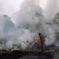 Petugas dari Manggala Agni Daops Sumatera XIV-Banyuasin berusaha memadamkan kebakaran lahan di Desa Pulau Semambu, Kecamatan Indralaya Utara, Kabupaten Ogan Ilir (OI), Sumatera Selatan, Minggu (16/8/2026). (Foto: Antara/Nova Wahyudi)