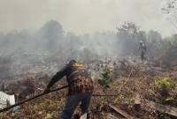 
Petugas BPBD Kotawaringin Timur berjuang memadamkan api karhutla. (Foto: HO-BPBD Kotim)