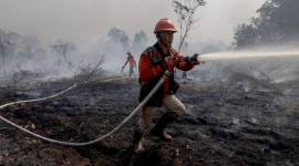 Personel BPBD Provinsi Kalimantan Barat berjalan di lokasi lahan gambut yang terbakar di Dusun Sidomulyo, Desa Limbung, Kecamatan Sungai Raya, Kabupaten Kubu Raya, Kalimantan Barat, Minggu (2/8/2026). (Foto: Antara/Jessica Wuysang)