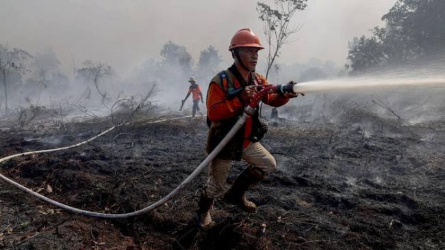 Personel BPBD Provinsi Kalimantan Barat berjalan di lokasi lahan gambut yang terbakar di Dusun Sidomulyo, Desa Limbung, Kecamatan Sungai Raya, Kabupaten Kubu Raya, Kalimantan Barat, Minggu (2/8/2026). (Foto: Antara/Jessica Wuysang)