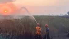 Petugas BPBD dan Damkar HST saat melakukan pemadaman kebakaran lahan di Desa Mahang Baru, Kecamatan Labuan Amas Selatan, Kabupaten Hulu Sungai Tengah, Kalimantan Selatan, beberapa waktu lalu. (Foto: HO-BPBD dan Damkar HST)