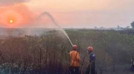 Petugas BPBD dan Damkar HST saat melakukan pemadaman kebakaran lahan di Desa Mahang Baru, Kecamatan Labuan Amas Selatan, Kabupaten Hulu Sungai Tengah, Kalimantan Selatan, beberapa waktu lalu. (Foto: HO-BPBD dan Damkar HST)
