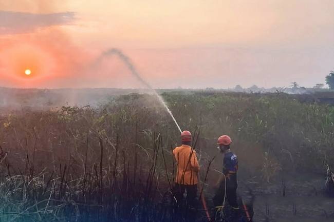Petugas BPBD dan Damkar HST saat melakukan pemadaman kebakaran lahan di Desa Mahang Baru, Kecamatan Labuan Amas Selatan, Kabupaten Hulu Sungai Tengah, Kalimantan Selatan, beberapa waktu lalu. (Foto: HO-BPBD dan Damkar HST)