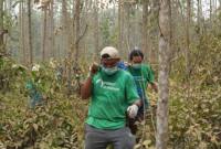Dua petugas membawa seekor orang utan untuk dikembalikan ke habitatnya di Kutai Timur, Kalimantan Timur (18/9/2026). (Foto: HO-BKSDA Kaltim)