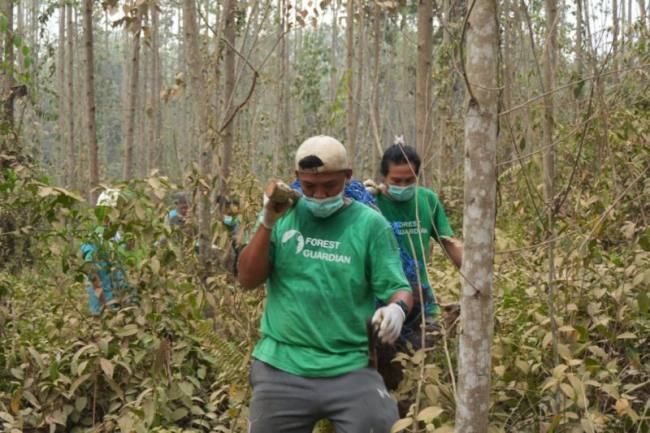 Dua petugas membawa seekor orang utan untuk dikembalikan ke habitatnya di Kutai Timur, Kalimantan Timur (18/9/2026). (Foto: HO-BKSDA Kaltim)