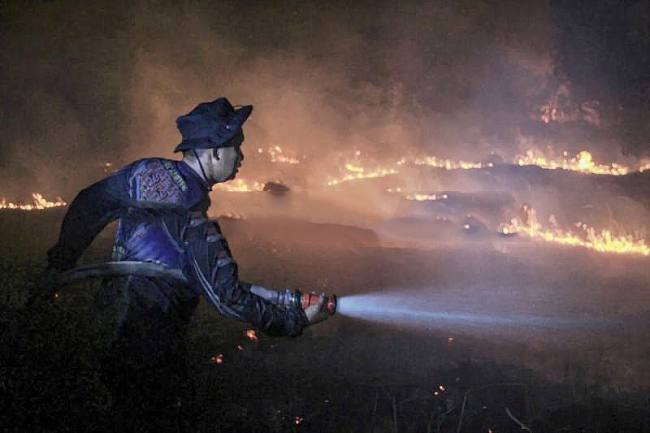 Petugas dari Dinas Kehutanan Kalteng berupaya memadamkan kebakaran di Kelurahan Menteng, Palangka Raya, Kalimantan Tengah, Kamis (27/8/2026). (Foto: Antara/Auliya Rahman)