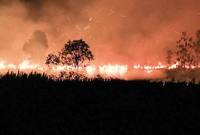 Api membakar lahan di Desa Tumbang Nusa, Kabupaten Pulang Pisau, Kalimantan Tengah, Minggu (30/8/2026). (Foto: Antara/Auliya Rahman)