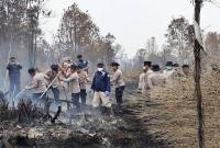 Personel Polda Kalteng menyuntikkan cairan pemadam api surfaktan ke dalam lahan gambut yang terbakar di Petuk Katimpun, Kota Palangka Raya, Selasa (8/9/2026). (Foto: Antara/Rajib Rizali)
