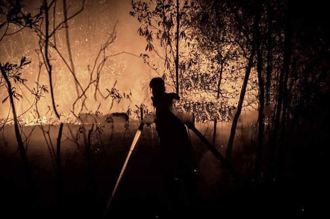 Relawan pemadam kebakaran berupaya memadamkan api yang membakar hutan dan lahan di Kecamatan Sebangau, Kota Palangka Raya, Kalimantan Tengah pada Rabu (9/9/2026). (Foto: HO-Antara)
