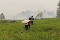 Tim Dishut Kalteng melakukan penanganan karhutla di kawasan Tahura Isen Mulang Sebangau Berkah, Kecamatan Sebangau Kuala, Kabupaten Pulang Pisau, Selasa (29/9/2026). (Foto: HO-Dishut Kalteng)
