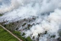 Kebakaran yang melanda Desa Soren, Kecamatan Kota Besi, Kabupaten Kotawaringin Timur, Kalimantan Tengah, Kamis (9/7/2026).(Foto: HO-BPBD KOTIM)