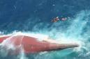 Kondisi KM Virgo Transport 8 yang ditemukan dalam kondisi terbalik di laut Jawa. (Foto: Kompas.com)