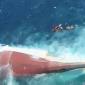 Kondisi KM Virgo Transport 8 yang ditemukan dalam kondisi terbalik di laut Jawa. (Foto: Kompas.com)