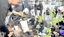 Penanaman secara simbolis 1.000 bibit tanaman bougenville di median Jalan Lambung Mangkurat, Banjarmasin, Kalimantan Selatan, Jumat (4/9/2026). (Foto: HO-Antara)