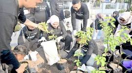 Penanaman secara simbolis 1.000 bibit tanaman bougenville di median Jalan Lambung Mangkurat, Banjarmasin, Kalimantan Selatan, Jumat (4/9/2026). (Foto: HO-Antara)