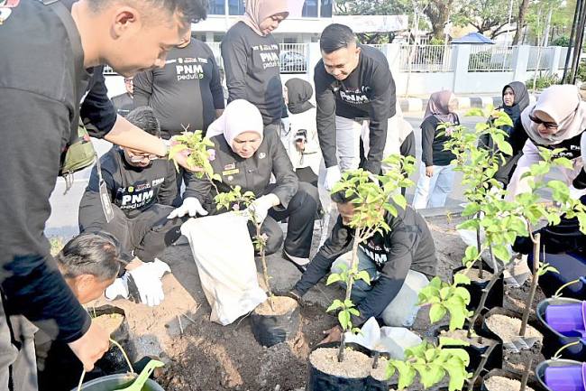 Penanaman secara simbolis 1.000 bibit tanaman bougenville di median Jalan Lambung Mangkurat, Banjarmasin, Kalimantan Selatan, Jumat (4/9/2026). (Foto: HO-Antara)