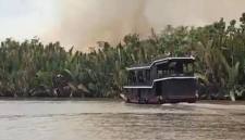Karhutla mengancam habitat orang utan di TN Tanjung Puting Kalteng. (Foto: HO-Dok Balai TNTP)