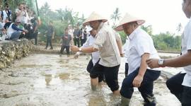 Bupati Penajam Paser Utara Mudyat Noor bersama pejabat Provinsi Kalimantan Timur dan pejabag Kementan memgawali gerakan tanam padi metode PM-AAS di lahan persawahan Desa Bangun Mulya, Kecamatan Waru, Kabupaten Penajam Paaer Utara, Rabu (30/9/2026) (Foto: HO-dokumen Humas Setda Pemkab PPU)
