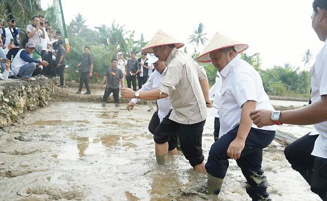 Bupati Penajam Paser Utara Mudyat Noor bersama pejabat Provinsi Kalimantan Timur dan pejabag Kementan memgawali gerakan tanam padi metode PM-AAS di lahan persawahan Desa Bangun Mulya, Kecamatan Waru, Kabupaten Penajam Paaer Utara, Rabu (30/9/2026) (Foto: HO-dokumen Humas Setda Pemkab PPU)
