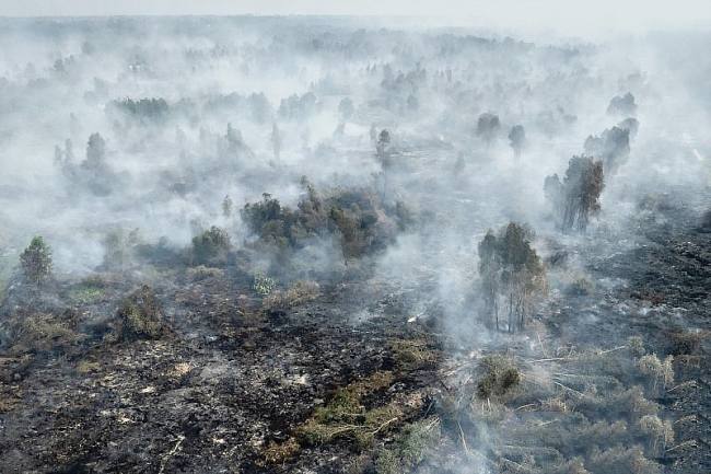 Foto udara kebaran hutan dan lahan (karhutla) dengan kabut asap yang membumbung tinggi di Hutan Lindung Liang Anggang, Banjarbaru, Kalimantan Selatan, Kamis (3/9/2026). (Foto: Antara/Bayu Pratama S)