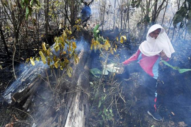 Seorang anak membantu memadamkan kebakaran lahan di kawasan Kariangau, Balikpapan, Kalimantan Timur, Kamis (3/9/2026). (Foto: Antara/Angga Palguna)
