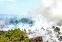 Foto udara kebakaran lahan di Kabupaten Kubu Raya, Kalbar. (Foto: HO-Walhi Kalbar)