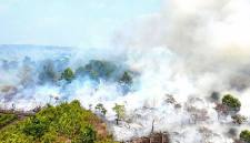 Foto udara kebakaran lahan di Kabupaten Kubu Raya, Kalbar. (Foto: HO-Walhi Kalbar)