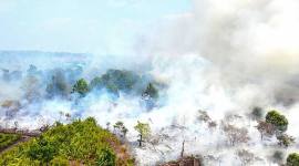 Foto udara kebakaran lahan di Kabupaten Kubu Raya, Kalbar. (Foto: HO-Walhi Kalbar)