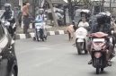 Ceceran solar, khususnya di Jalan Antasari, persisnya depan Rumah Sakit (RS) Sari Mulia, banyak pengedara terjatuh, Selasa (29/9/2026) sekitar pukul 14.30 WITA. (SuarIndonesia/ZII